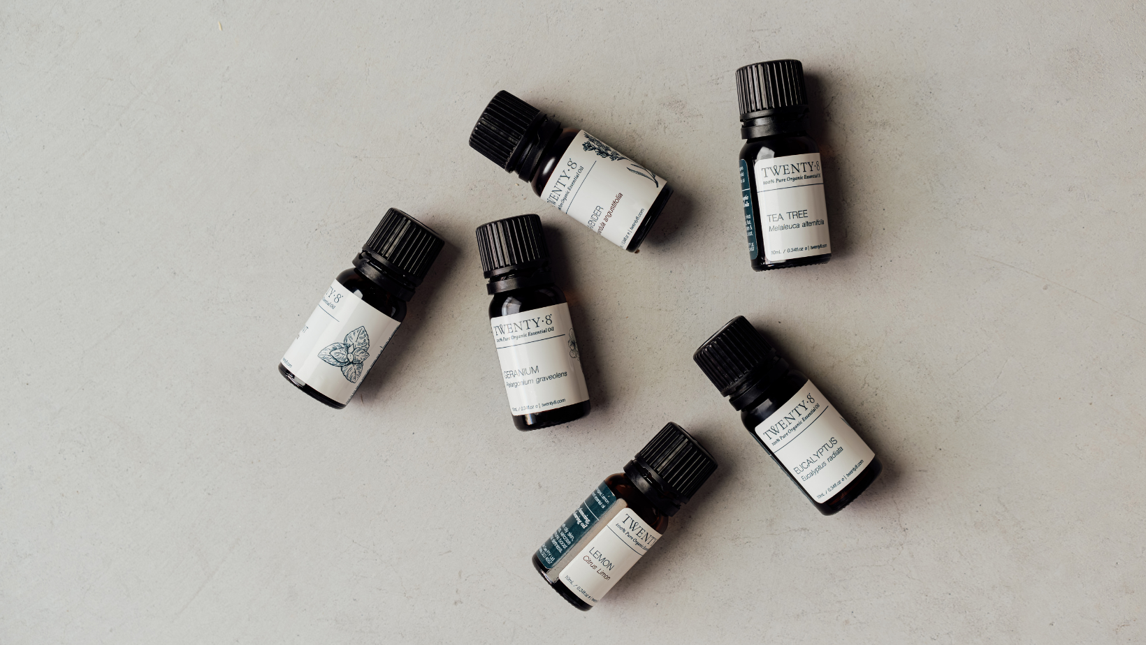 Winter Wellness Toolkit
