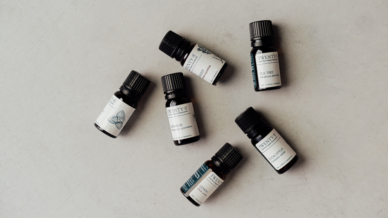 Winter Wellness Toolkit